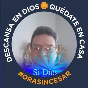 Meet your Posher, Frank